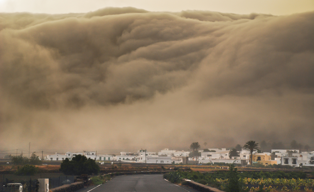 Massive Wave Drags Several Tourists into the Sea! Spanish Holiday Island Turns into a Nightmare